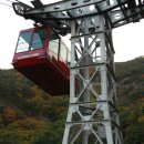 앞산 맛둘레길 경관 이미지