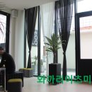 YOLO ARA | 명사십리해수욕장:카페YOLO♥