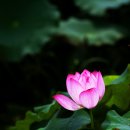 회산2 이미지