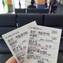 프라임관광호텔 앞 이미지