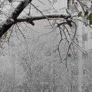 양우탑공인중개사사무소 이미지