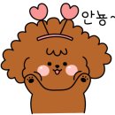 독도수산건어물 이미지