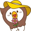 [3월] 평생교육사 현장실습 이미지