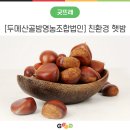 [두메산골밤영농조합법인] 밤의 고장, 충남 부여 친환경 햇밤
