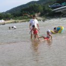 새천년생명의숲 이미지