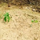금강종합철물 - 기장군 반송로 1640 | 금강종합철물