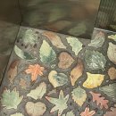 감골생고기타운 이미지