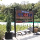 법인백작