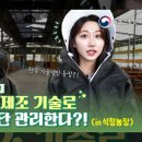E.L농장 이미지