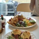 디노브런치 이미지