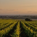 가야슈퍼 이미지