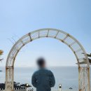 카페뜰 - 춘천시 김유정로 1720 | 카페뜰