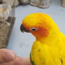 베스트피쉬 수족관 이미지