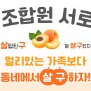 🧡살림 조합원 서로돌봄 시범사업 ＜살구＞ 참여 안내서 v3 이미지