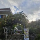 문경수예리오토캠핑장 이미지