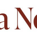 비바워시 이미지