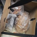 대전역 | 대전역 성심당 웨이팅 후 대전역 성심당 빵 후기