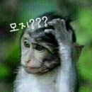 신흥부전 이미지