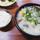 포항 죽도시장 평남식당 소머리국밥 후기 (수란과 야들한 고기)