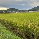 해보면사무소 이미지