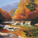 도림사계곡 이미지