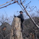 재호목장 이미지