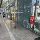 정래할머니 이미지