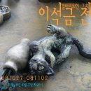 중2동-12 이미지