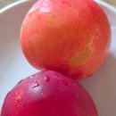 롯데리아 하나로부산점 이미지