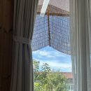 이천촌캉스 | 감동적인 이천 ‘찐’ 촌캉스 🌿✨ 별점 5점인 이유가 있다..