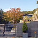 동인연합의원 이미지