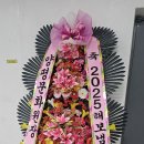 서울위드조아