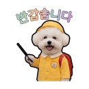 창의융합 과학교실 네이버블로그
