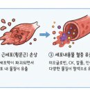 삼성신내과의원 네이버블로그