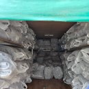 예스세탁 이미지