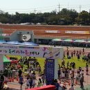홍성마리톤대회 이미지