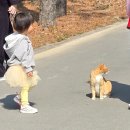 숲정원 | 경주 걷기 좋은곳 추천, 경북 천년 숲 정원 산책후기 (feat. 입구고양이)