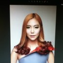 더에스헤어 이미지