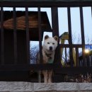 미림황토별펜션 이미지