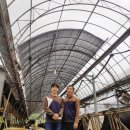 성보목장 이미지