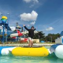 제이아이이인터내셔널 | 다들 가성비라더니 세부 여행 가서 제일 놀란 7가지