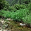 소진펜션 이미지