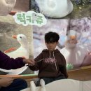 금동유치원 이미지