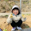 늘행복한농장 이미지