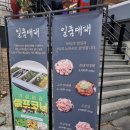 일품대패 두호점 이미지