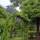 영산홍민박 이미지