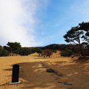 포은선생묘역 이미지