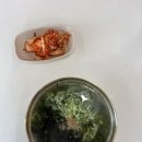 아라동 칼국수맛집 <아라칼국수> 메생이칼국수,모듬만두 내돈내산 후기