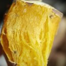 광식농장 이미지