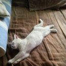 테마민박 이미지